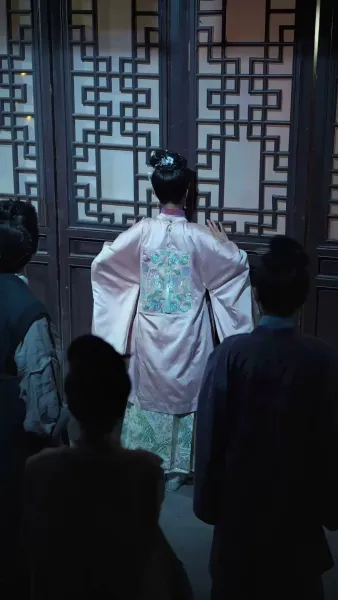 หงส์ลับฟ้าใต้หล้า(พากย์ไทย) 