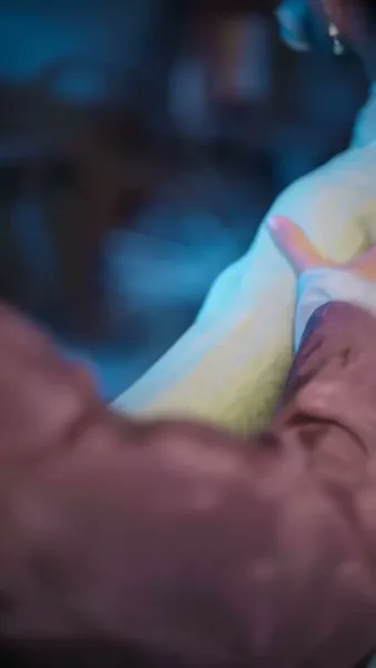 หงส์ลับฟ้าใต้หล้า(พากย์ไทย) 