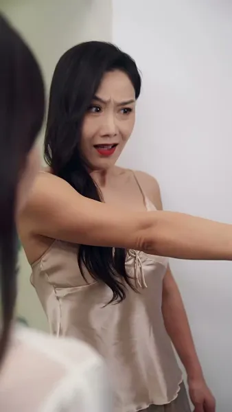 สาวใช้ในเมืองใหญ่