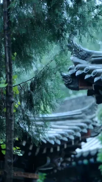 องครักษ์หลงยุค