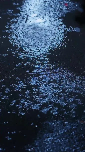 รักในสายลม ใบไม้ผลิ