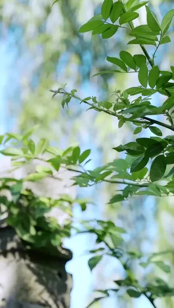 ความทรงจำที่ยังหายใจ(พากย์ไทย)