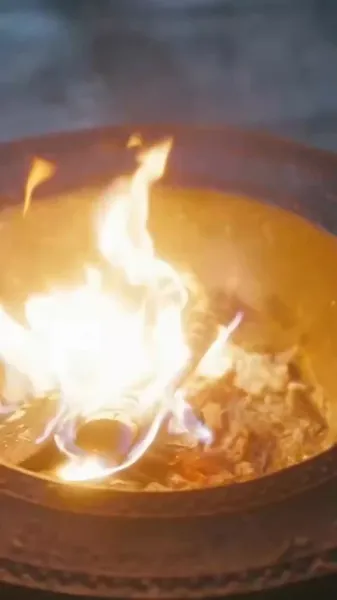 เสน่ห์ร้ายของฤดูใบไม้ผลิ