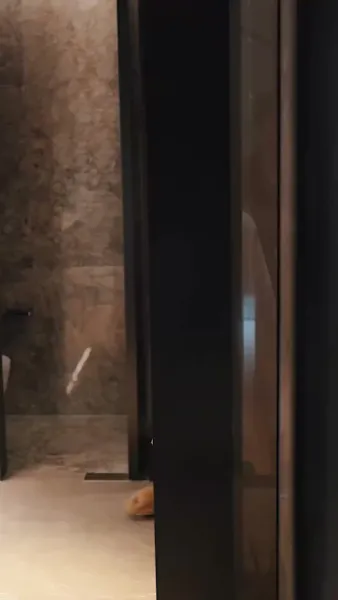 ท่านประธาน คุณแอบรักไม่เนียนเลย