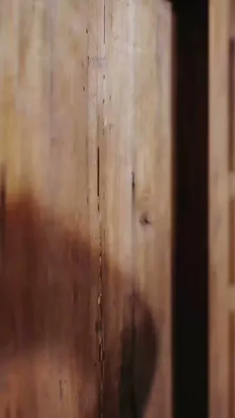 ชะตารักท่านเซียนแพทย์