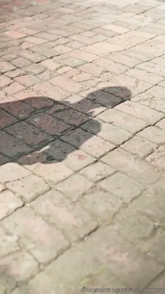 แต่งเมื่อพร้อม รักเมื่อถึงเวลา