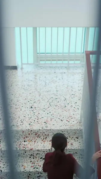 สาวใช้ตัวร้าย