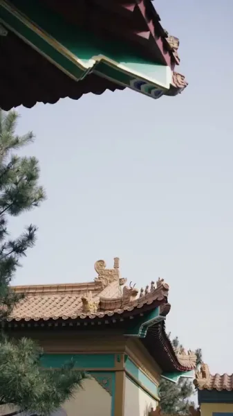 ฝ่าบาท…เราจะเล่นเกมกันไหม?