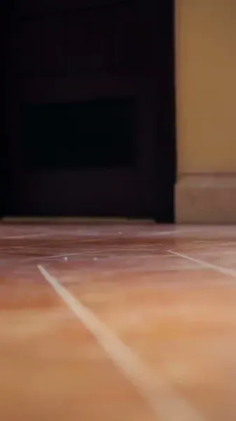 จากปลอมสู่พรหมลิขิต