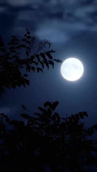 ตำนานนักฆ่าผู้เยือกเย็น