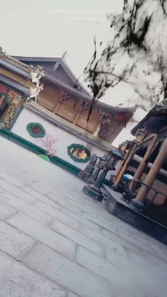 จำเลยรักวังมังกร