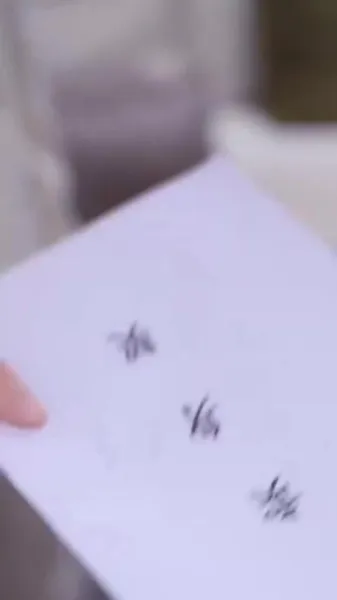 เงาแห่งความรัก