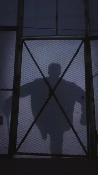 เงาแห่งความรัก