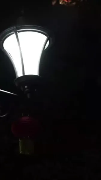 เงาแห่งความรัก