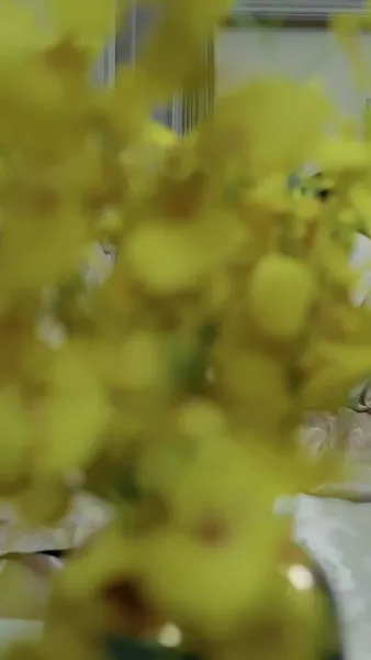 ผู้พิทักษ์ตัวน้อย จากสวรรค์