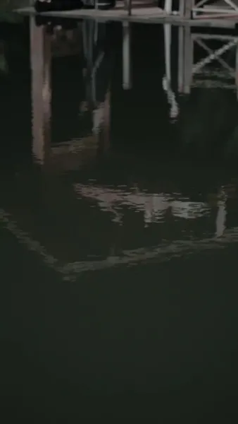 ผู้พิทักษ์ตัวน้อย จากสวรรค์