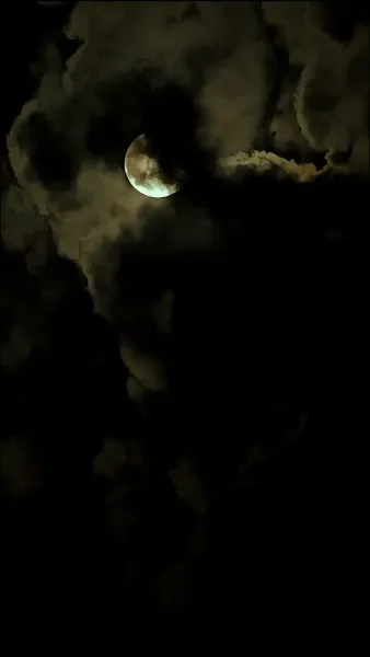 รักที่ยากจะลืมเลือน