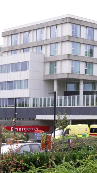 กรรมสิทธิ์รักมาเฟีย