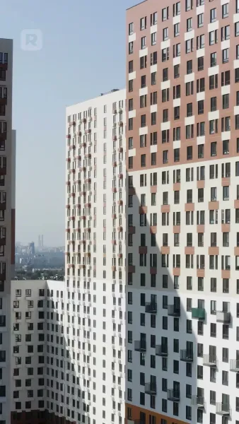 กรรมสิทธิ์รักมาเฟีย