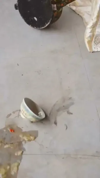 รักเร้นแสงจันทร์: กลเกมวัง