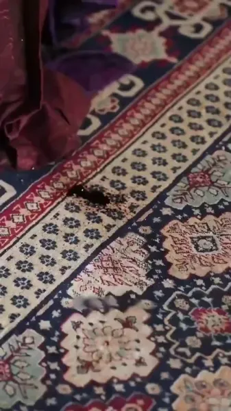 รักเร้นแสงจันทร์: กลเกมวัง