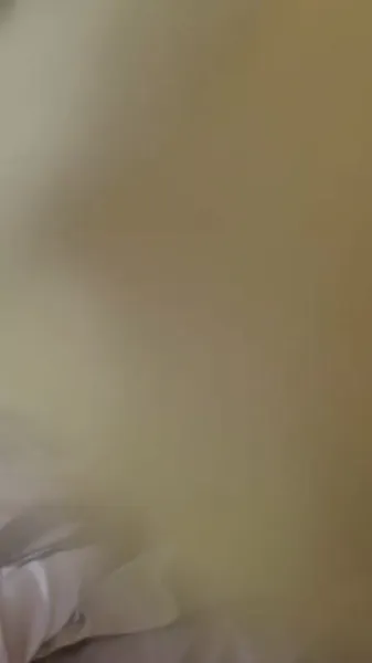 ค่ำคืนแห่งน้ำตา