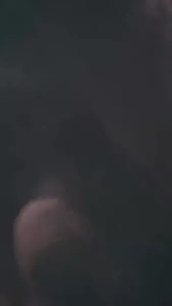 ค่ำคืนแห่งน้ำตา