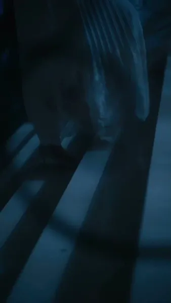 เงารักมาเฟีย