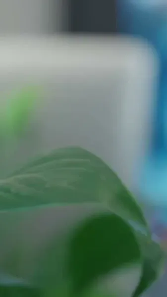 เธอคนเดิม ที่กลับมาแก้แค้น