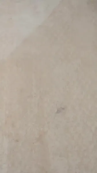 เธอคนเดิม ที่กลับมาแก้แค้น