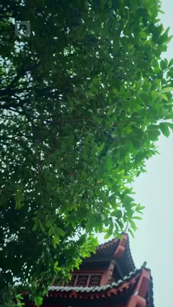 จ้าวแห่งราชัน