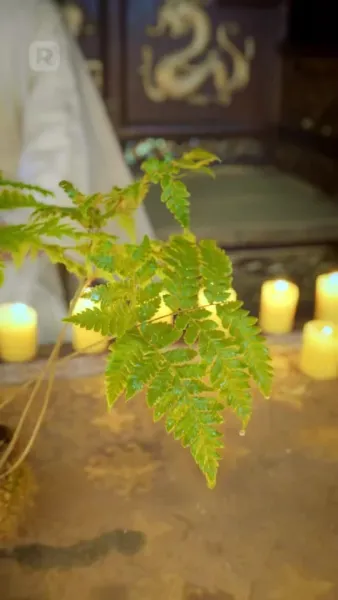 จ้าวแห่งราชัน