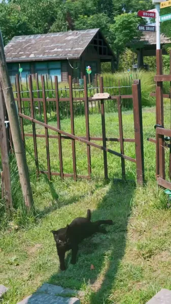 ผมเลเวล 10000 แต่ข้างนอกแค่ 30