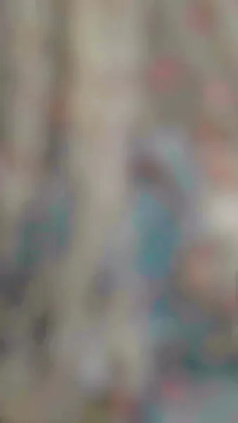 ข้ามเวลา ปฏิวัติหอนางโลม