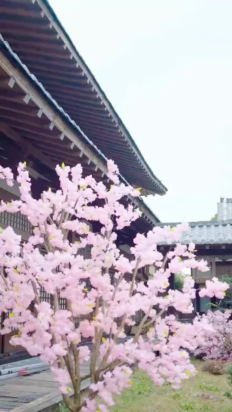 ข้ามเวลา ปฏิวัติหอนางโลม