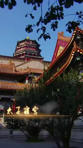 ข้ามเวลา ปฏิวัติหอนางโลม