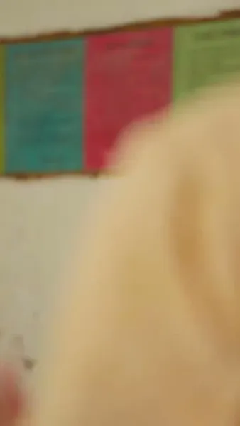 แม่เลี้ยงสุดคูล