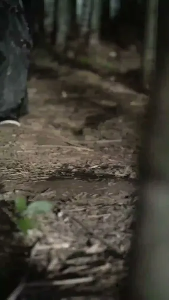 จอมยุทธ์ผู้พลิกชะตา