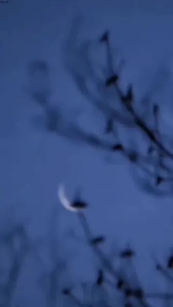 จอมยุทธ์ผู้พลิกชะตา