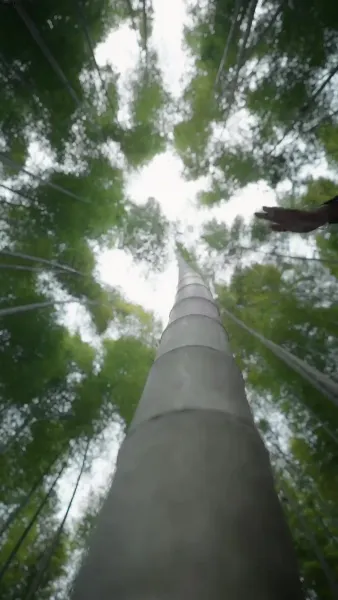 จอมยุทธ์ผู้พลิกชะตา