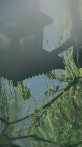 ช่วงวัยเยาว์ที่พลั้งพลาด