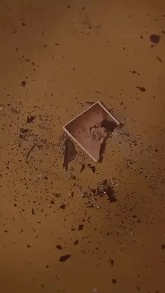 การกลับมาของ การ์ดิเนีย