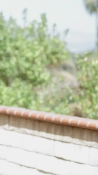 แต่งงานกับฉันอีกครั้ง