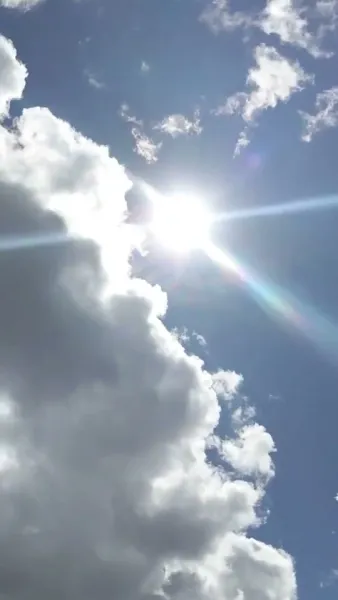 แต่งงานกับฉันอีกครั้ง