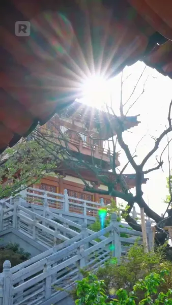 รักนี้คือพรหมลิขิต