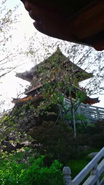 รักนี้คือพรหมลิขิต