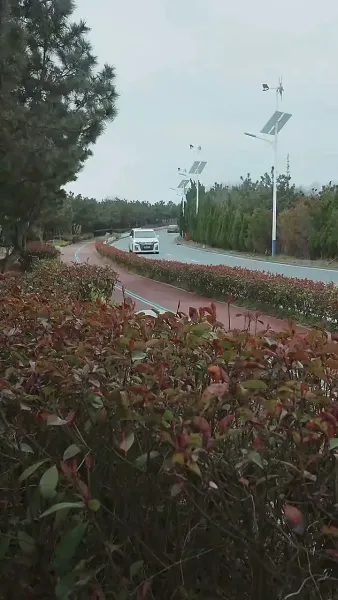 [พากย์ไทย]แผนรักเอาคืนของคุณนายเซิ่ง