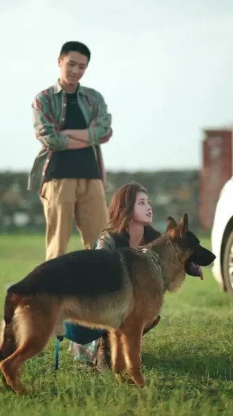 รักกลางพายุทราย