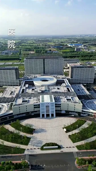 แรงแค้น พยาบาทรัก