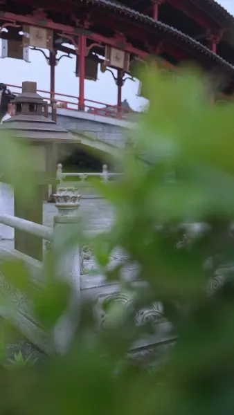 การแก้แค้นของสนมเอก